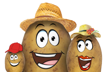 FÊTE DE LA PATATE