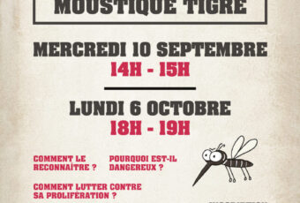 Webinaire – Moustique tigre