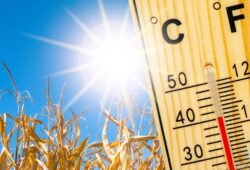 Canicule école maternelle Clairefontaine